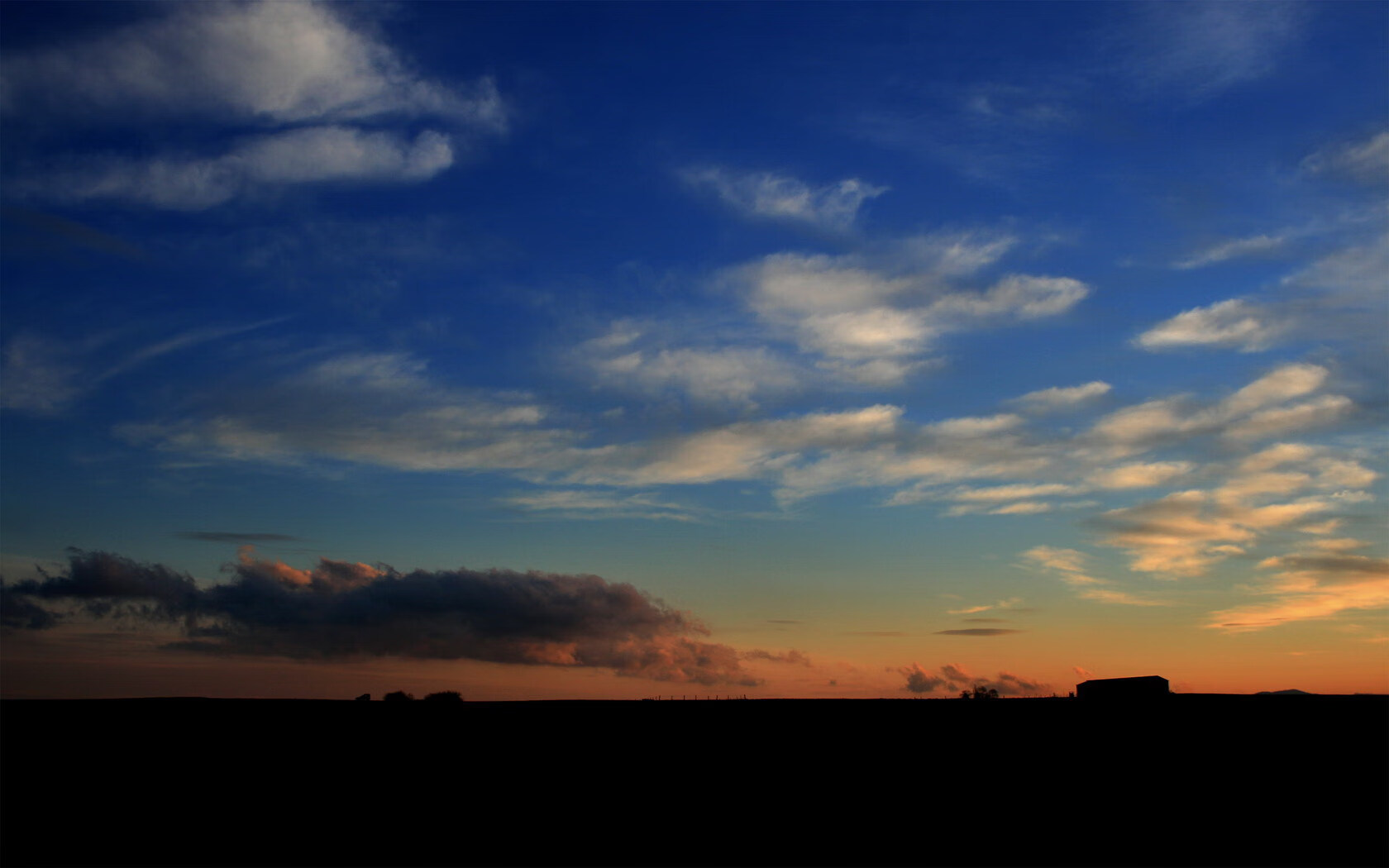 开云网页版-WNBA观众人数创新高，2021年nba现场有观众吗