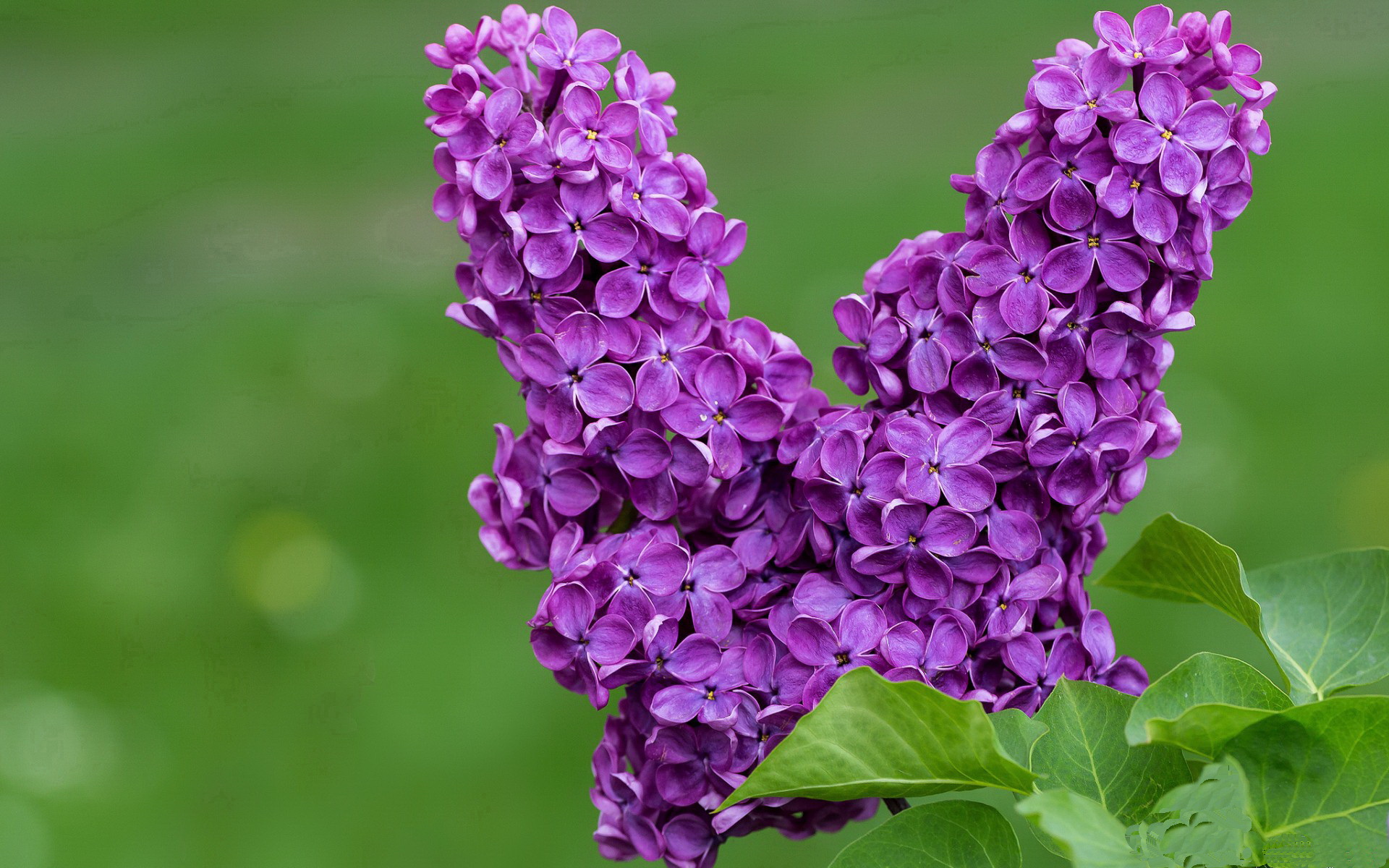开云体育下载官网-广东男篮再添一胜，引领篮球风潮，广东男篮最新