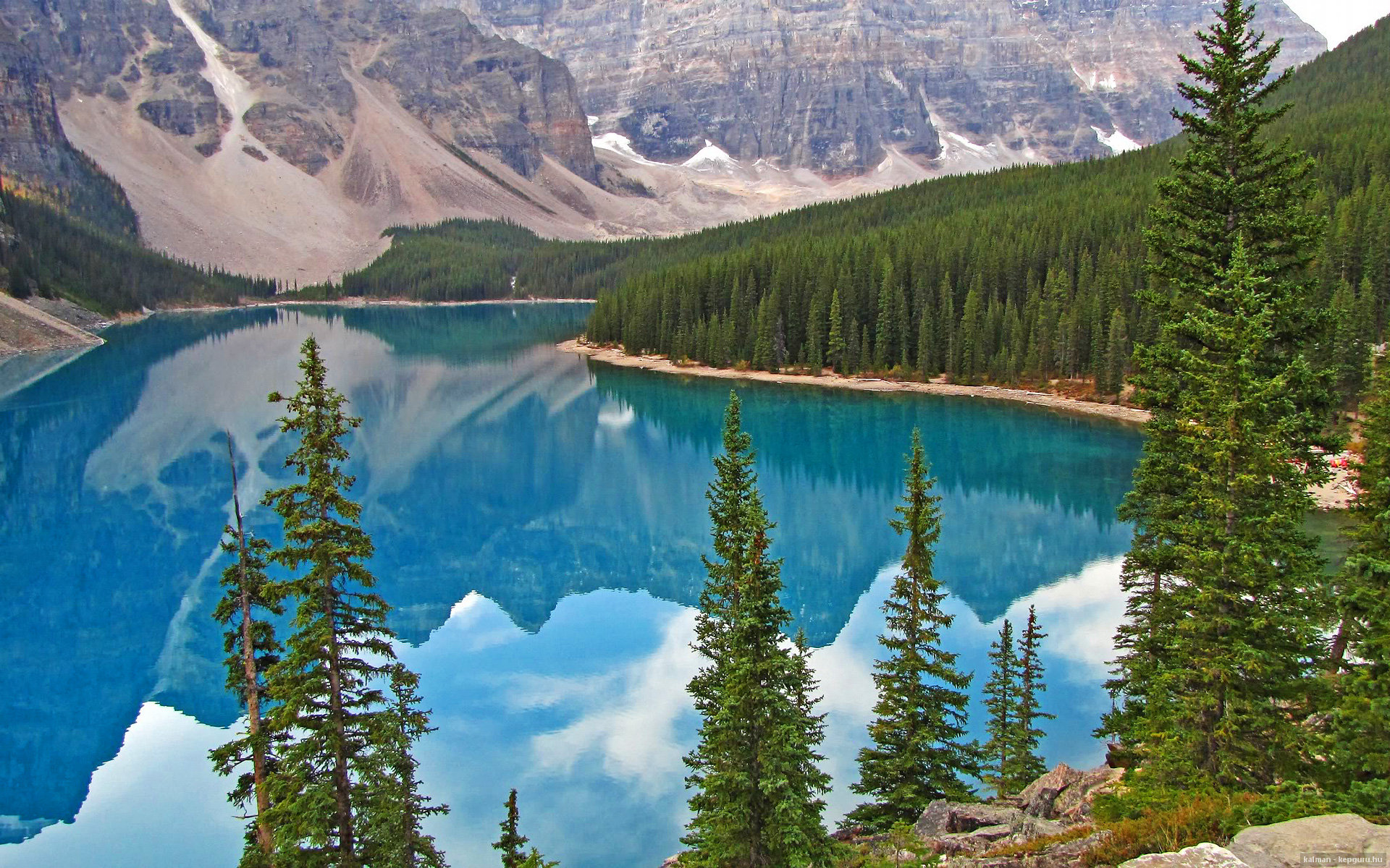 是否应将球员社会行动纳入官方宣传重点,球员保护政策