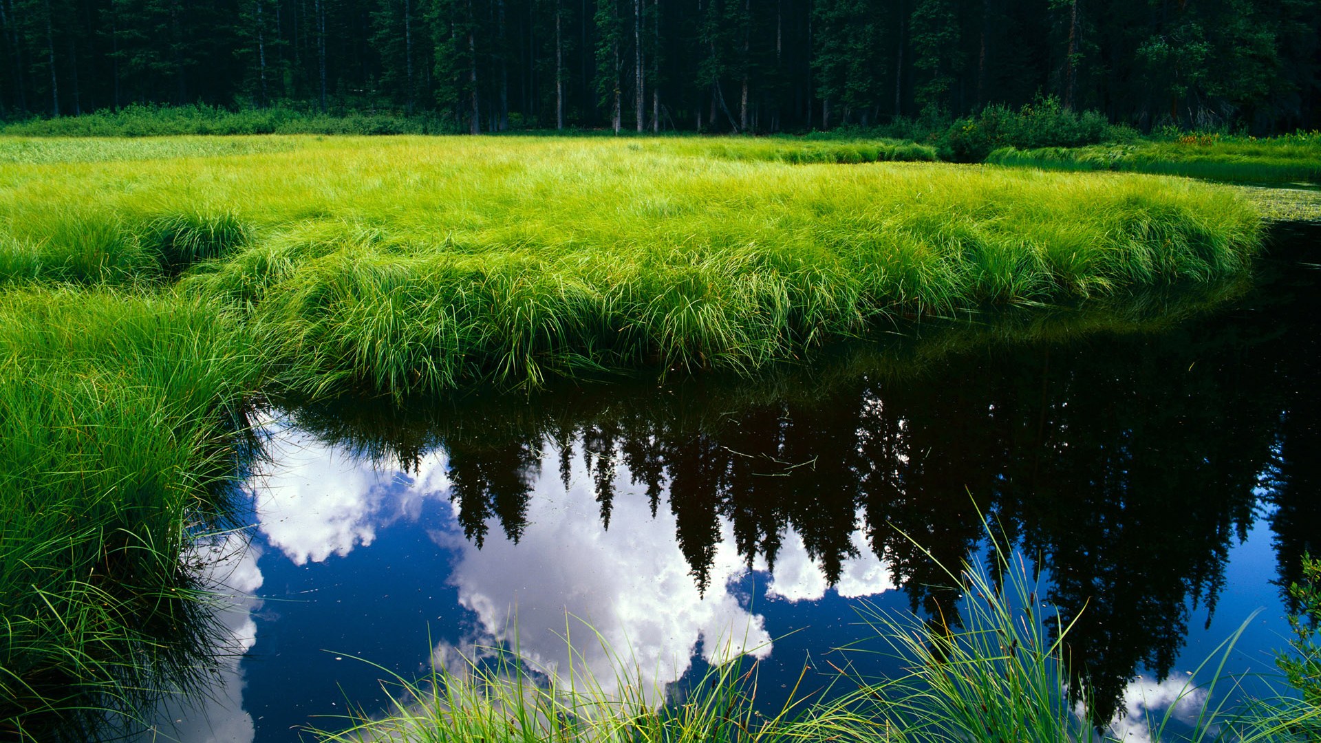 kaiyun sports app-汉堡球员自嘲表现，网友调侃萌翻，汉堡球队赛程