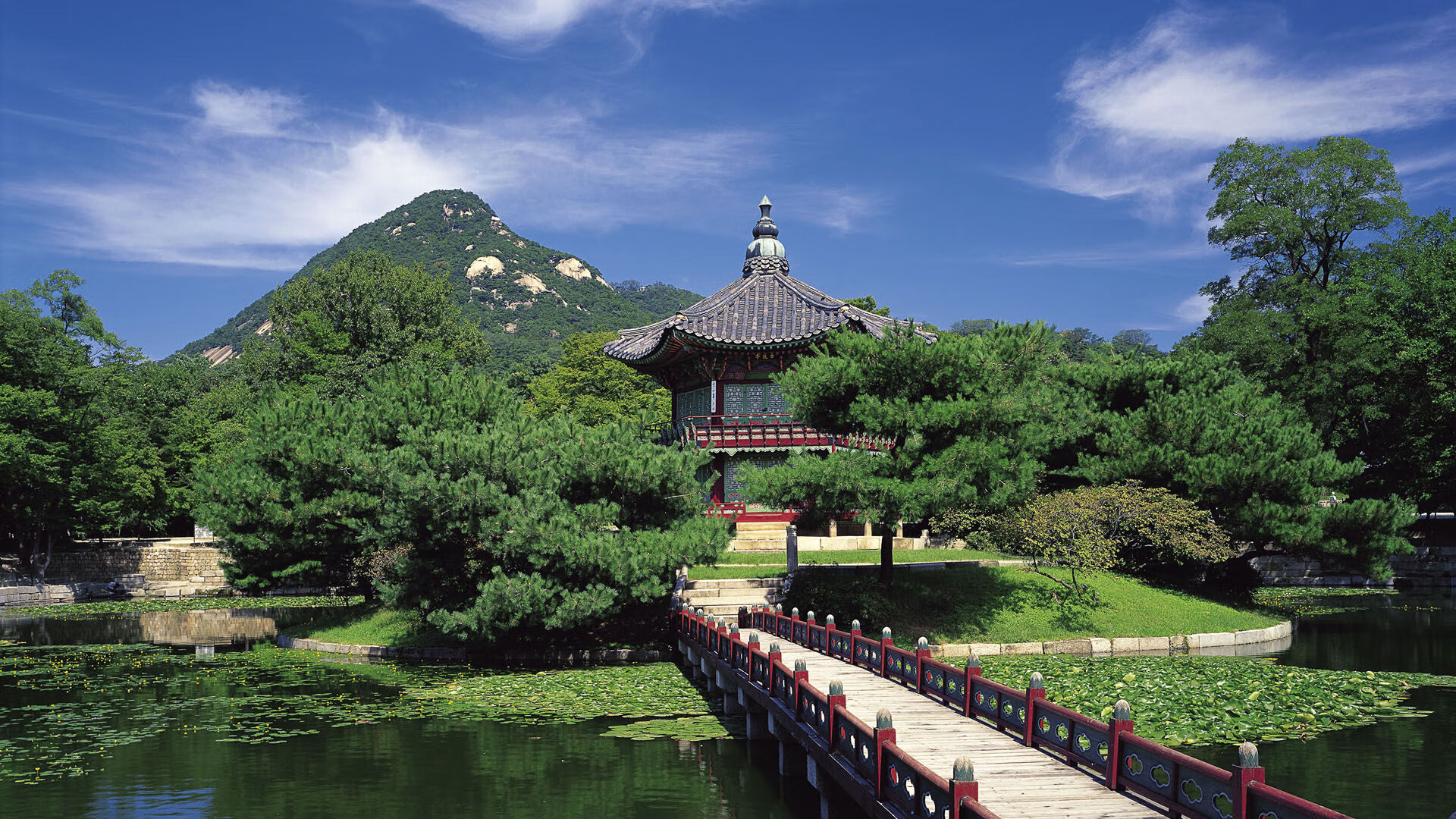 美职篮火热继续，雄鹿豪取八连胜排名东部第一，美职篮雄鹿太阳