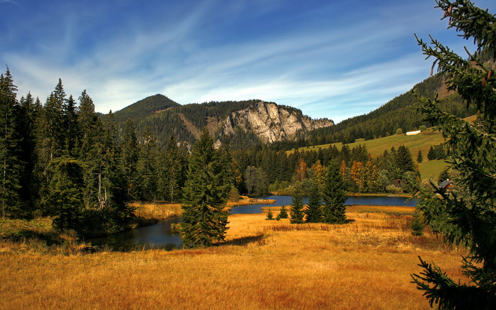 莱切是否应加强边路进攻效率,莱切城近期战绩