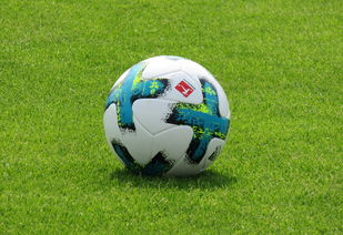 Kysports-德甲防守战术转变对定位球防守效果的影响分析，德国足球防守大师