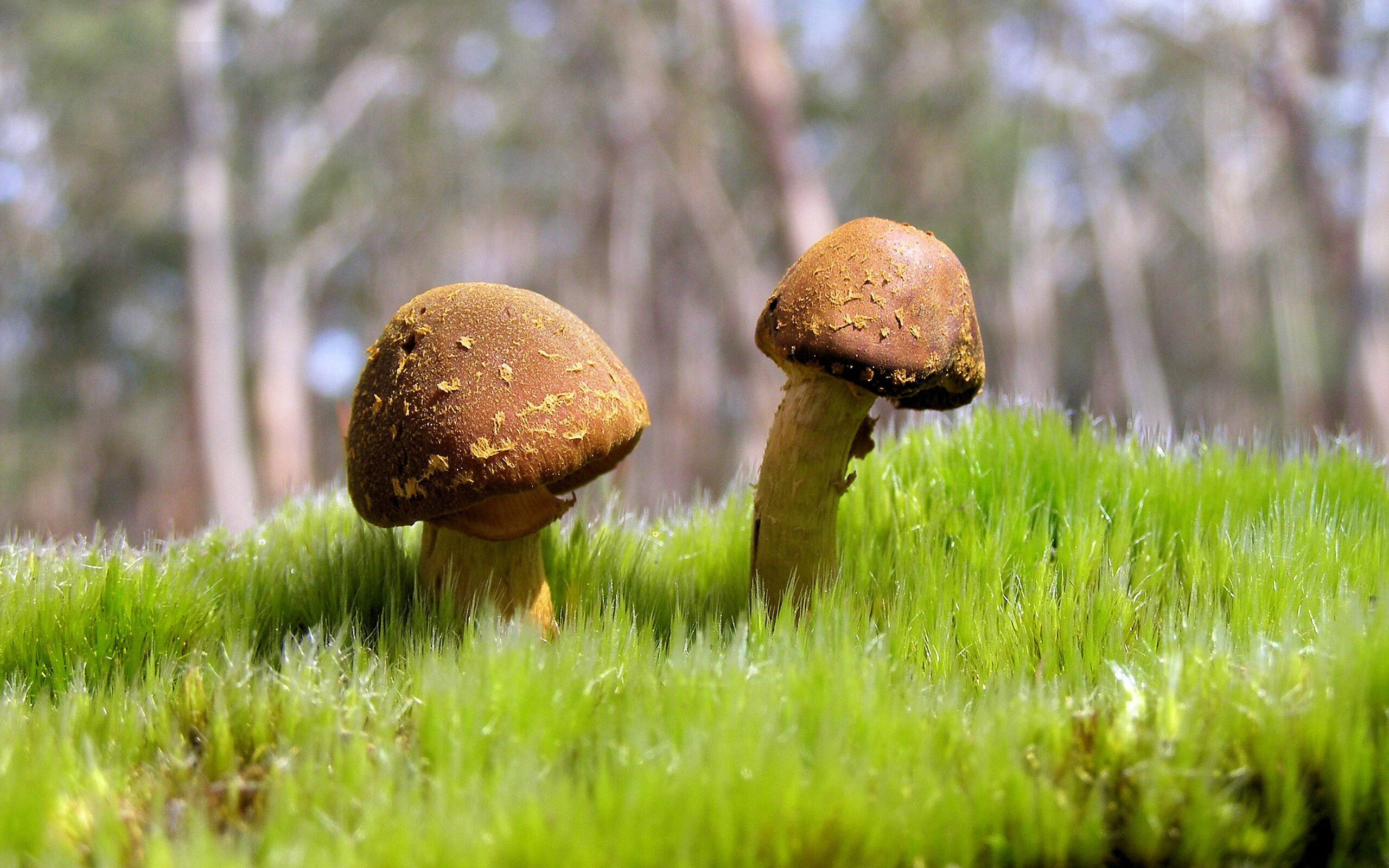 中国女篮体能提升显著 整体强度增强,体育中国女篮