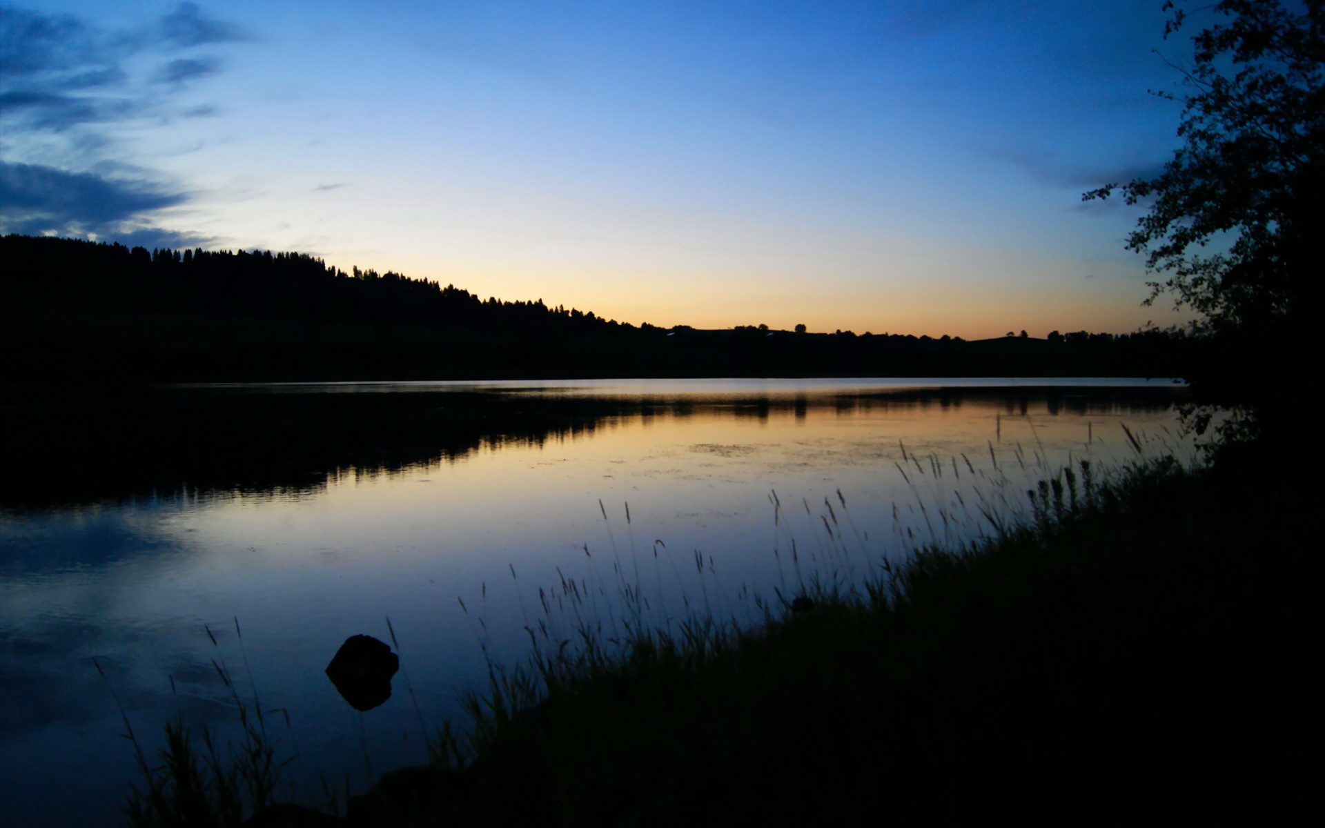 辽宁飞豹加强投篮训练提高命中稳定性,辽宁飞豹篮球俱乐部球员