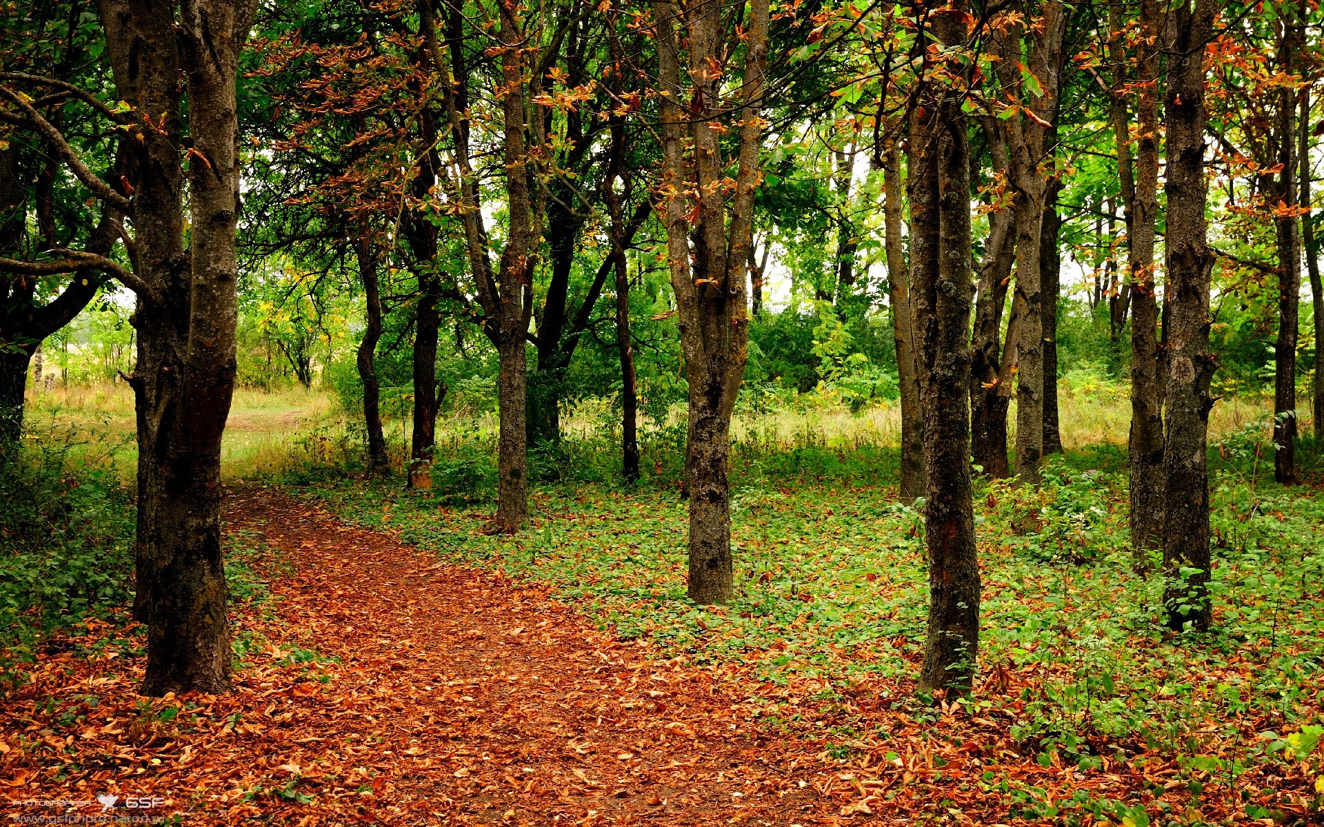 开云体育入口-国际足球裁判执法标准升级，公正公开成为主旋律，足球裁判执法规则