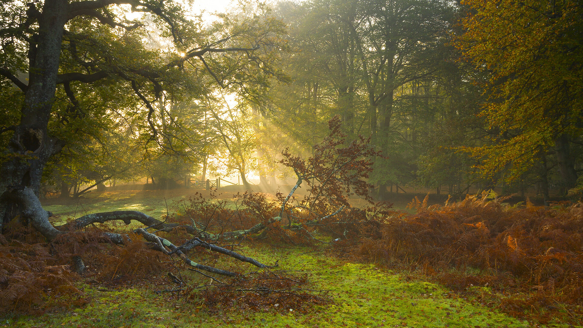 训练场上意外受伤引发赛事日程调整和人员轮换，训练场注意事项